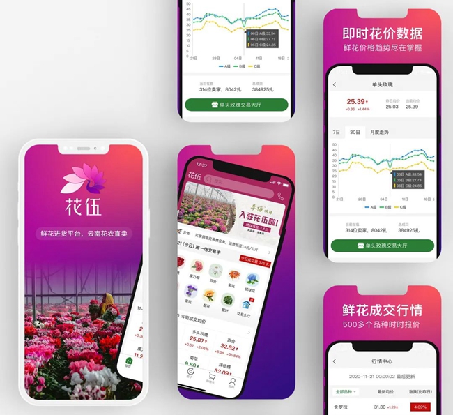 花伍科技张星：“数字化+供应链”下，深耕千亿级鲜花市场